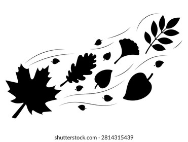 Black Autumn Leaf Silhouettes Blowing in Strong Wind, Maple, Oak, Ginkgo and Botanical Branches in Dynamic Seasonal Foliage Composition for Fall Banner, Harvest Poster and Nature Design on White