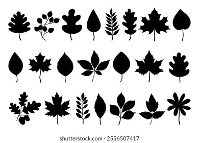 Black autumn leaf silhouettes collection. Fall leaves foliage silhouettes isolated on white background