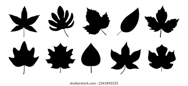 Black autumn leaves or foliage silhouette isolated on white background. Big set of vector fall tree leaf shapes with maple, oak, birch and other nordic leave