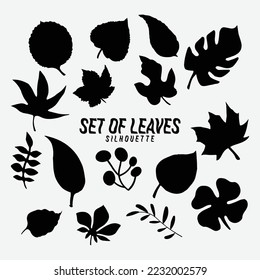 Black autumn leaves or foliage silhouettes are isolated on white background. vector fall tree leaf shapes with maple, oak, birch, and other nordic leave little twisted