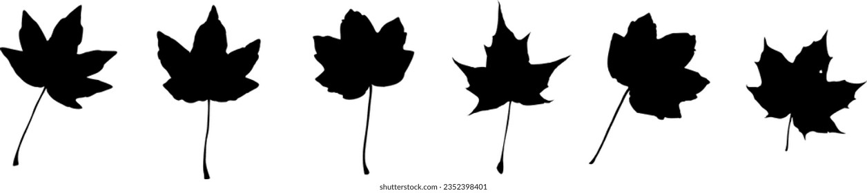 Black autumn leaves or leaf silhouettes isolated on white background. Big set of vector autumn tree leaf shapes with maple, oak, birch and other nordic leaves