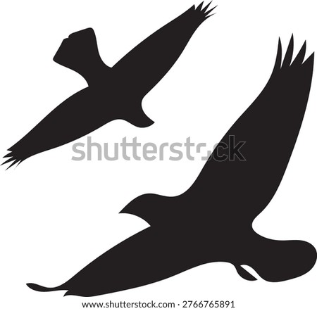 Black avian outlines, soaring wings, flight motion design.