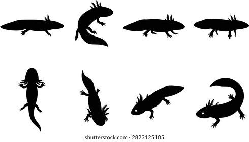 Black axolotl silhouette set featuring swimming and crawling poses. Ideal for aquarium branding, biology graphics, and amphibian-themed designs.