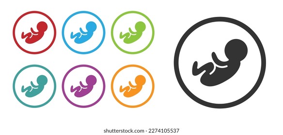 Black Baby icon isolated on white background. Set icons colorful. Vector