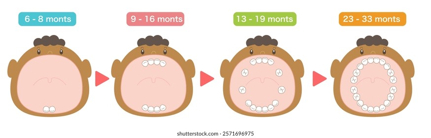 Black Baby teeth eruption order and baby with its mouth wide open.