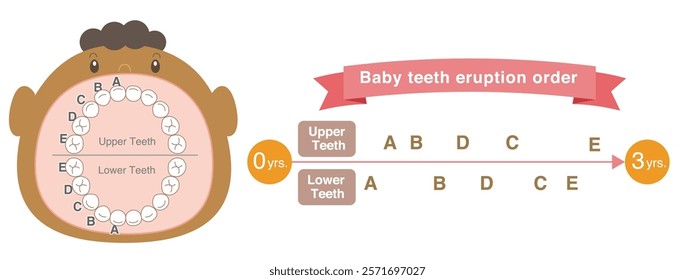 Black Baby teeth eruption order and baby with its mouth wide open.