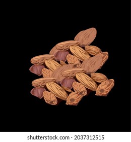 black background almond vector illustration 