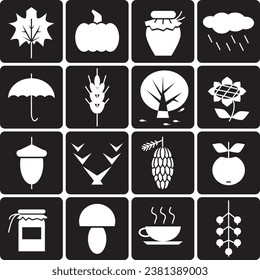 black background  autumn icons set