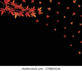 Black background with autumn leaves falling