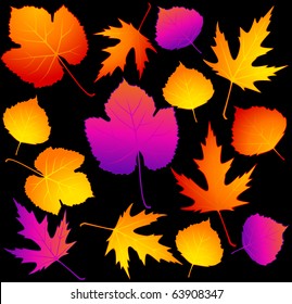 Black background with autumnal leave. Vector.
