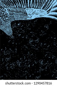 Black background with blue flying bird. To be used for invitation card. Nature texture.
