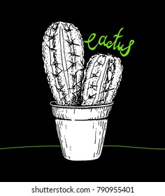 Black background with cactus and lettering, hand draw, sketch of cactus. Illustration for print. Vector illustration.