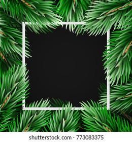 Black background with fir branches. Vector holiday illustration
