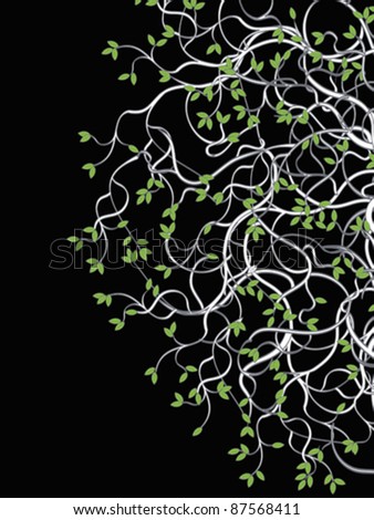 Black background with graphic decorated curved tree?s branches.