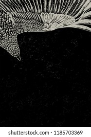 Black background with hand drawn back of eagle.intage texture.Backdrop with flying bird.To be used for poster of tattoo salon,page of book,invitation card for party.Grunge poster.Vertical banner.