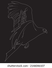 Black Background And Hand Drawn Eagle. Vector Graphic Of Eagle Icon. Line Drawing.