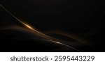Black background with a luxurious gold effect. Vector illustration