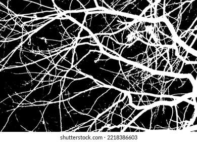 Black background with transparent empty silhouettes of tree branches