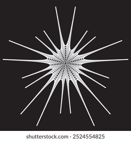 a black background with a white star that says dandelion.