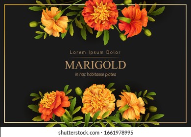 Black background with yellow marigold and golden frame. Floral poster template