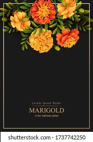 Black background with yellow marigold and golden frame. Floral poster template