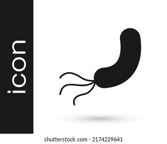 Icono de la bacteria negra aislado en fondo blanco. Bacterias y gérmenes, microorganismos causantes de enfermedades, cáncer celular, microbio, virus, hongos.  Vector