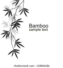 Black bamboo branches on a white background