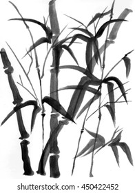 Black bamboo trees handdrawn with ink in traditional japanese style sumie on white background. Vector illustration