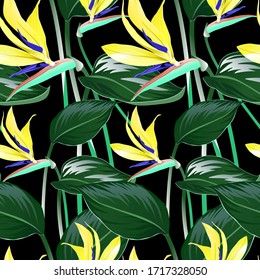 BLACK BANNER WITH ORANGE FLOWERS AND STRELITZIA LEAVES IN VECTOR