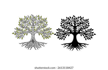 black banyan tree combo Package collection.