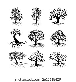 black banyan tree combo Package collection.