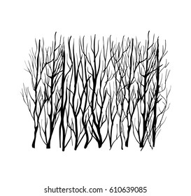 Black bare branches silhouette, vector forest abstract illustration
nature, minimalism