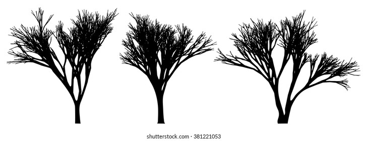 Black  bare tree  - vector illustration