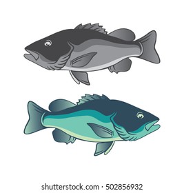 black bass