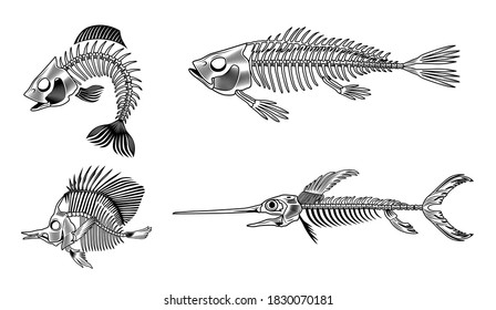 Black bass fish skeleton flat set for web design. Vintage monochrome marine animal bones isolated vector illustration collection. Design elements for sea creatures concept