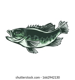 BLACK BASS FISH VECTOR ILLUSTRATION