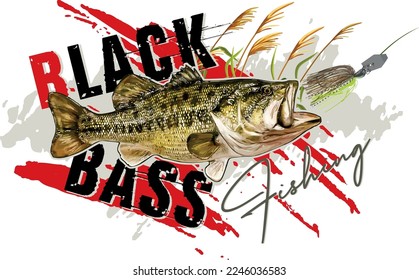 Black Bass Fishing Catch and Release