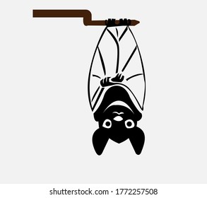 black bat vector design. black bat symbol