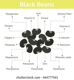 black beans nutrients and health benefits, infographic, food vector