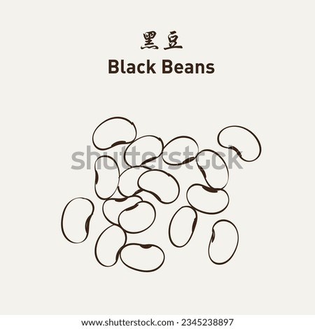 Black beans (Urad dal, black gram, vigna mungo)黑豆. Vector Illustration EPS 10 商業照片 © 