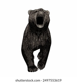 Black bear animals vektor ilustration isolated design template 