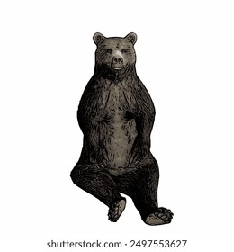 Black bear animals vektor ilustration isolated design template 