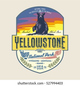 Black Bear Baribal At Dawn, National Park Yellowstone, Illustration, Vector