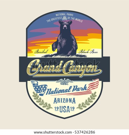 Black Bear Baribal at dawn, national Park, Grand Canyon, illustration, vector