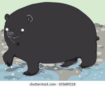 Black Bear Fishing