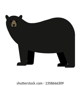 black bear flat illustration on white