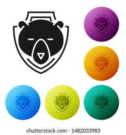 Black Bear head on shield icon isolated on white background. Hunting trophy on wall. Set icons colorful circle buttons. Vector Illustration