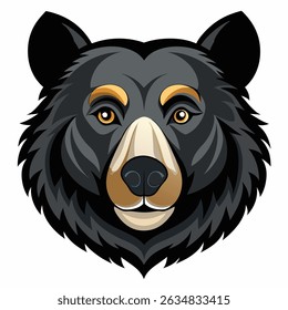 Black bear head on white background.