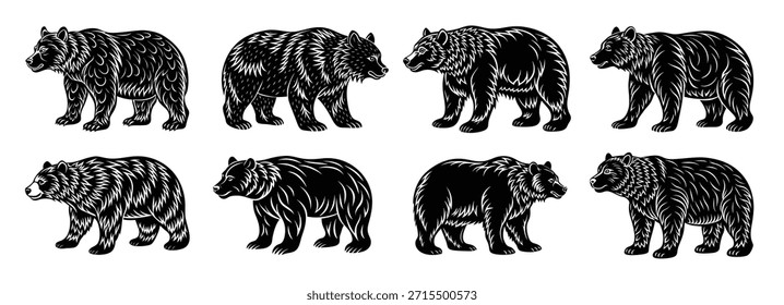 Conjunto de silueta de oso negro 
