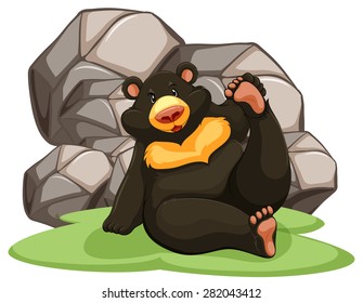 Black bear sitting against big rocks on white background